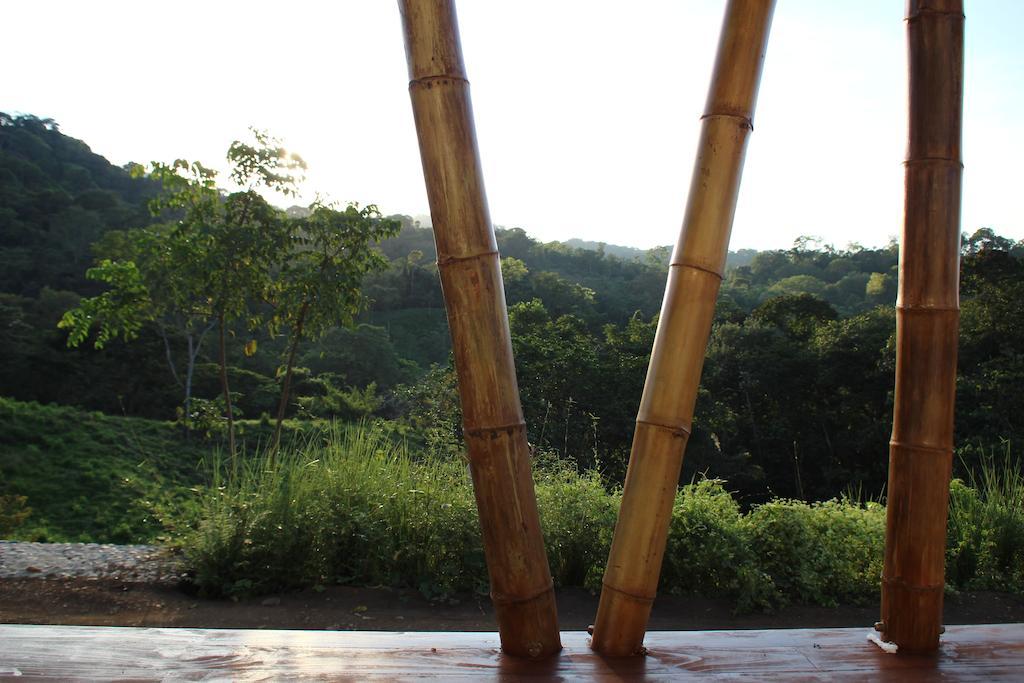 Eden Tica Lodge Uvita Luaran gambar