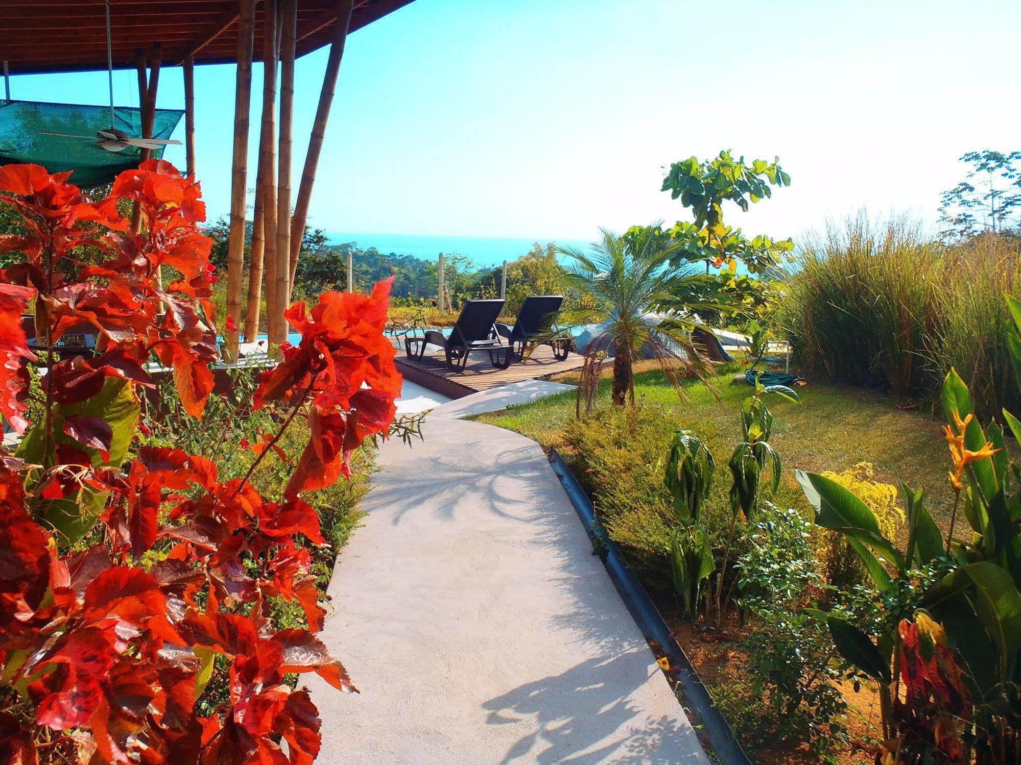Eden Tica Lodge Uvita Luaran gambar