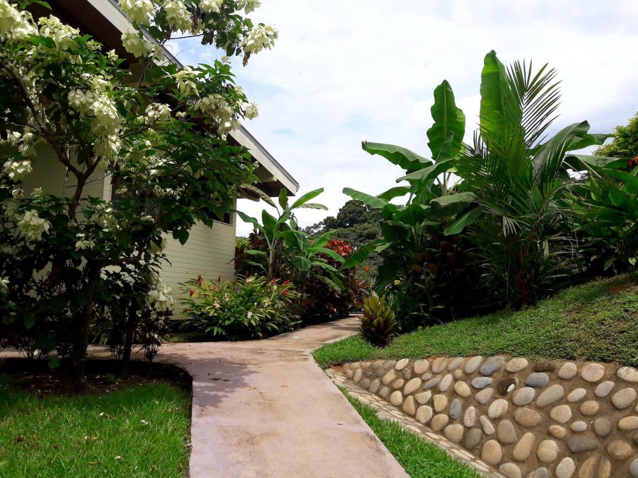 Eden Tica Lodge Uvita Luaran gambar