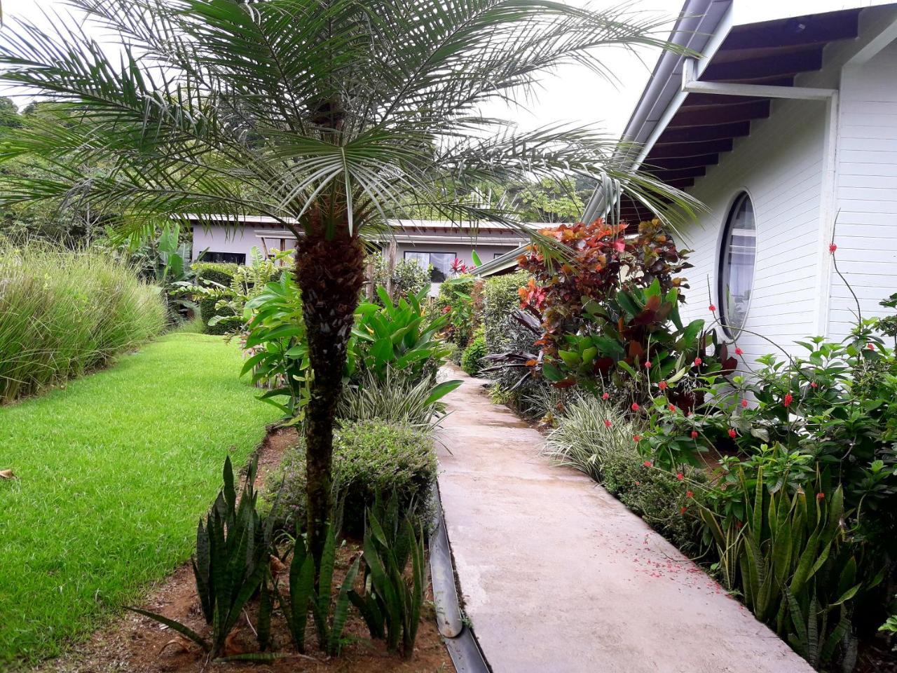Eden Tica Lodge Uvita Luaran gambar