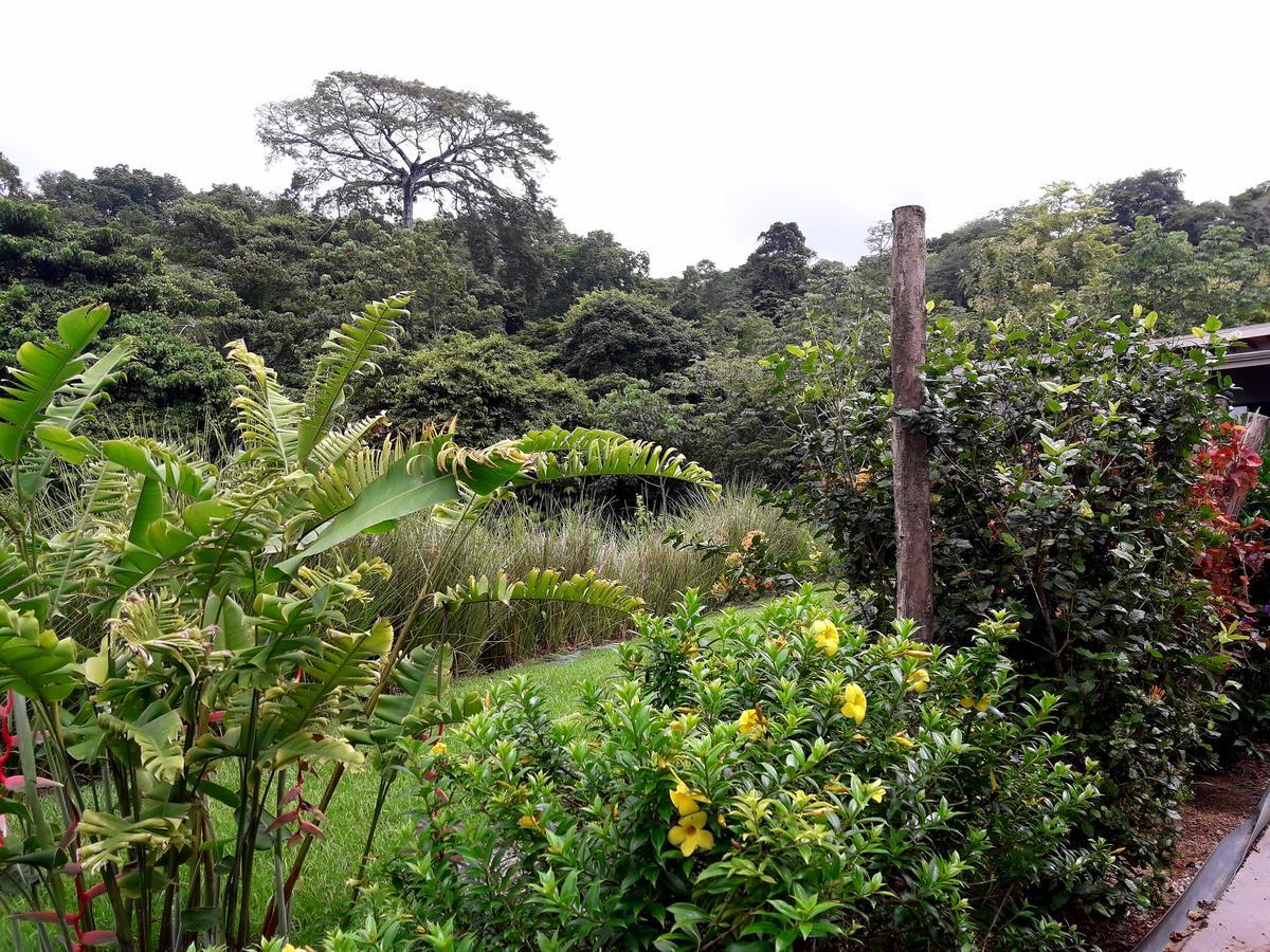 Eden Tica Lodge Uvita Luaran gambar
