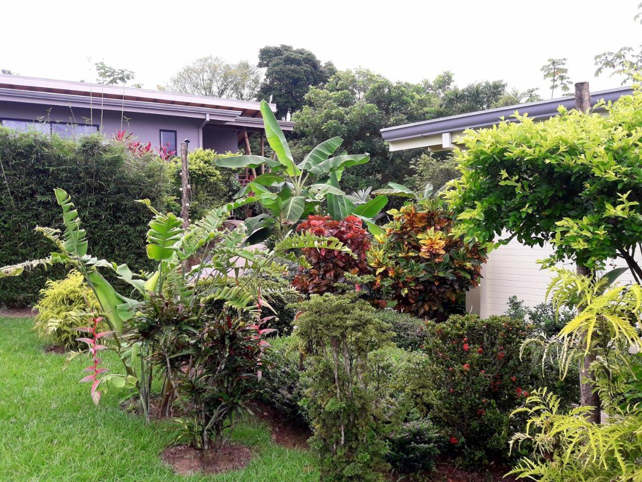 Eden Tica Lodge Uvita Luaran gambar